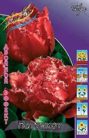 Купить оптом в Ботанике Тюльпан Петтикот 10 шт