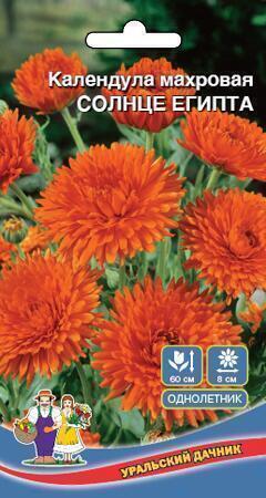 Купить оптом в Ботанике семена Календула Солнце Египта УД бренд Уральский дачник