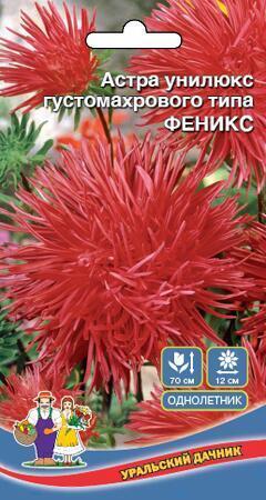 Купить оптом в Ботанике семена Астра Феникс унилюкс УД бренд Уральский дачник
