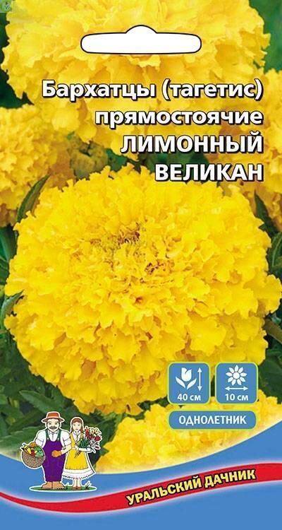 Купить оптом в Ботанике семена Бархатцы Лимонный Великан УД бренд Уральский дачник