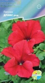 Купить оптом в Ботанике семена Петуния Дримс ред Акв бренд Акварель
