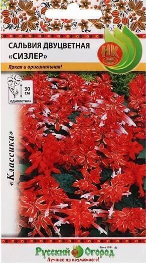 Купить оптом в Ботанике семена Сальвия Сизлер двуцветная, смесь НК бренд НК
