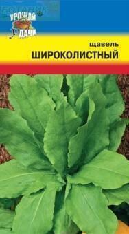Купить оптом в Ботанике семена Щавель Широколистный УУ бренд Урожай Удачи