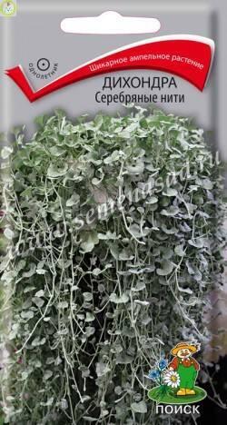 Купить оптом в Ботанике семена Дихондра Серебряные нити Поиск бренд Поиск