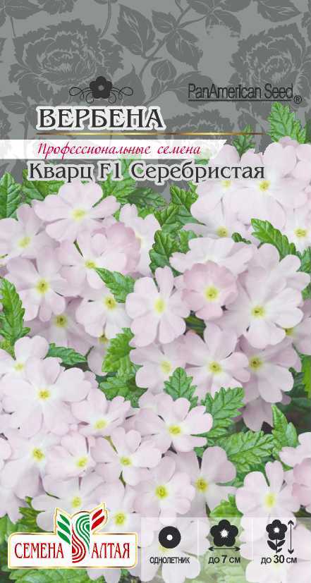 Купить оптом в Ботанике семена Вербена Кварц серебристая СА бренд Семена Алтая