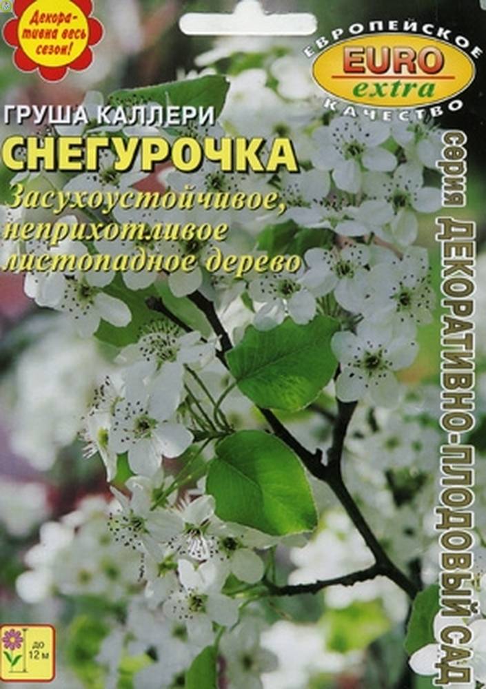 Купить оптом в Ботанике семена Груша Снегурочка каллери Аэл бренд Аэлита