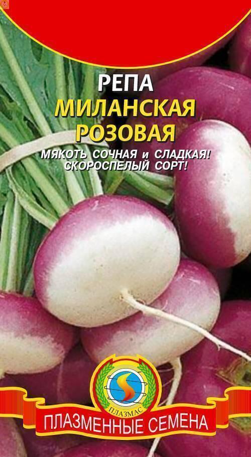 Купить оптом в Ботанике семена Репа Миланская розовая Плз бренд Плазмас