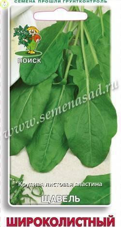 Купить оптом в Ботанике семена Щавель Широколистный Поиск бренд Поиск