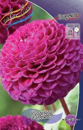 Купить оптом в Ботанике Георгина Рокко 1 шт шаровидные