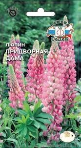 Купить оптом в Ботанике семена Люпин Придворная дама Сед бренд СеДеК