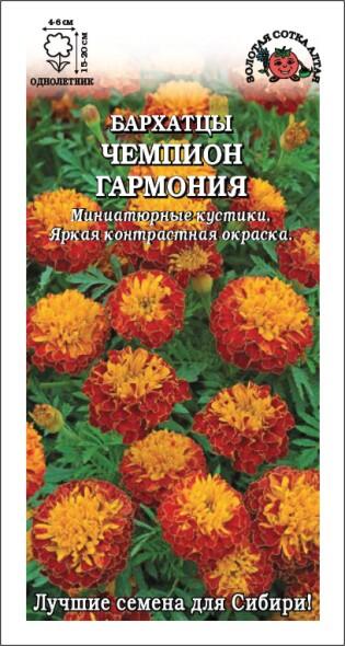 Купить оптом в Ботанике семена Бархатцы Чемпион Гармония ЗС бренд Золотая сотка