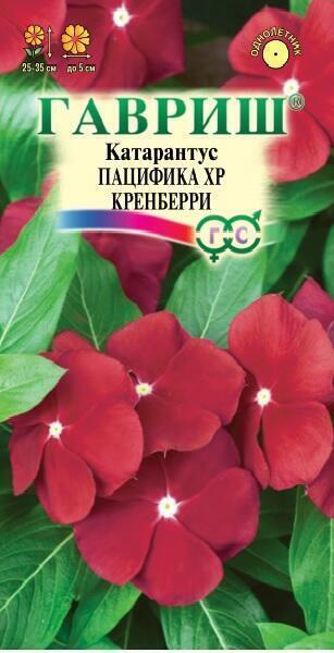 Купить оптом в Ботанике семена Катарантус Пацифика Кренберри Гав бренд Гавриш