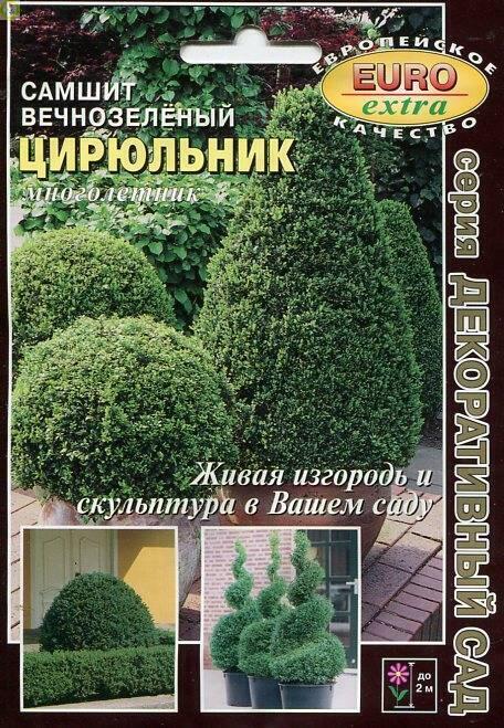 Купить оптом в Ботанике семена Самшит Цирюльник вечнозеленый Аэл бренд Аэлита