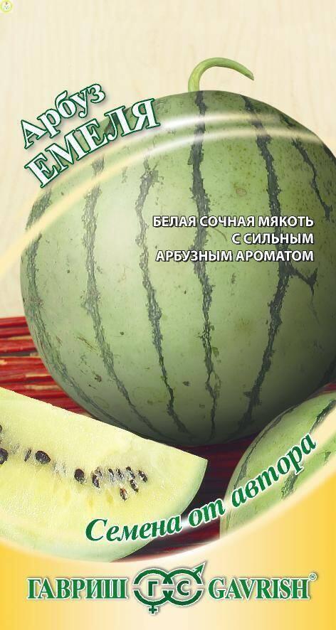 Купить оптом в Ботанике семена Арбуз Емеля Гав бренд Гавриш