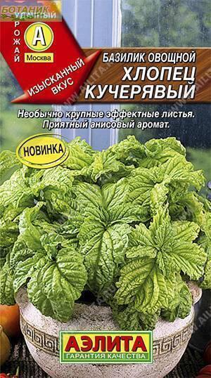 Купить оптом в Ботанике семена Базилик Хлопец кучерявый овощной Аэл бренд Аэлита
