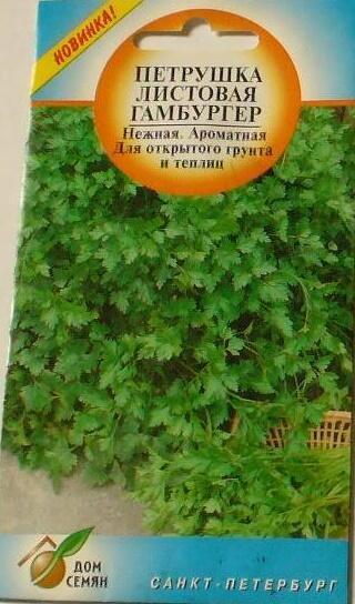Купить оптом в Ботанике семена Петрушка Бутербродная (гамбургер) ССО бренд Сортсемовощ