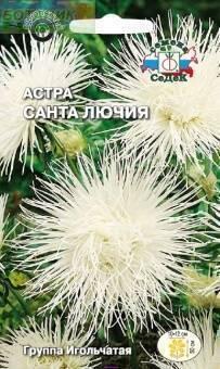 Купить оптом в Ботанике семена Астра Санта Лючия Сед бренд СеДеК