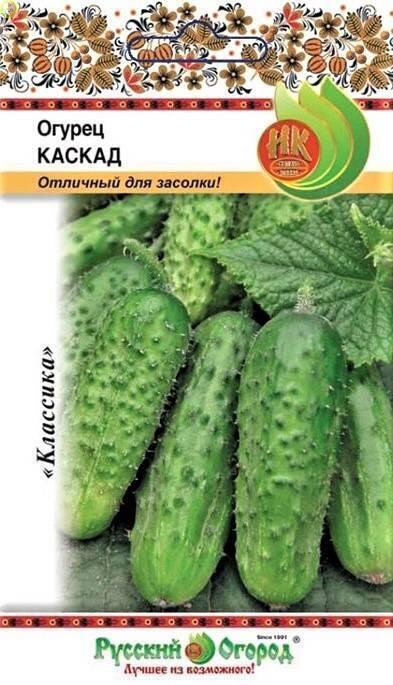 Купить оптом в Ботанике семена Огурец Каскад НК бренд НК