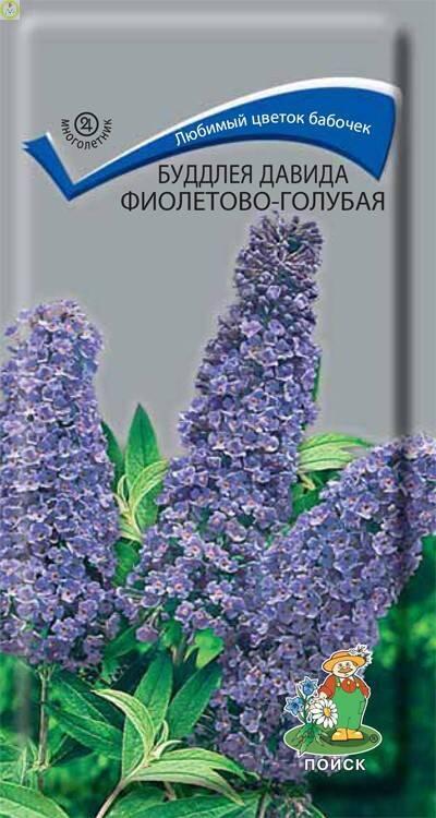 Купить оптом в Ботанике семена Буддлея Давида фиолетово-голубая Поиск бренд Поиск