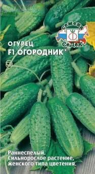 Купить оптом в Ботанике семена Огурец Огородник F1 Сед бренд СеДеК