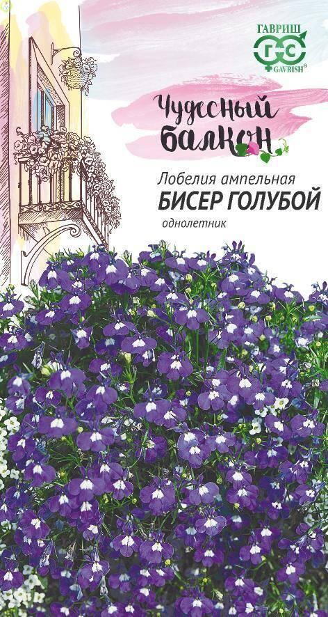 Купить оптом в Ботанике семена Лобелия Бисер голубой ампельная Гав бренд Гавриш