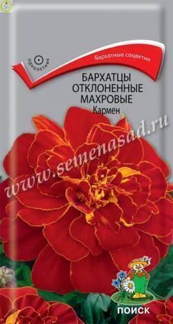 Купить оптом в Ботанике семена Бархатцы Кармен Поиск бренд Поиск