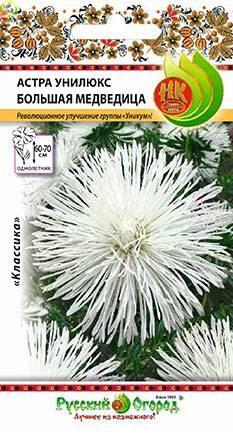 Купить оптом в Ботанике семена Астра Большая медведица унилюкс НК бренд НК