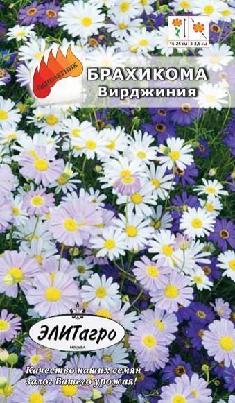 Купить оптом в Ботанике семена Брахикома Вирджиния смесь Аэл бренд Аэлита