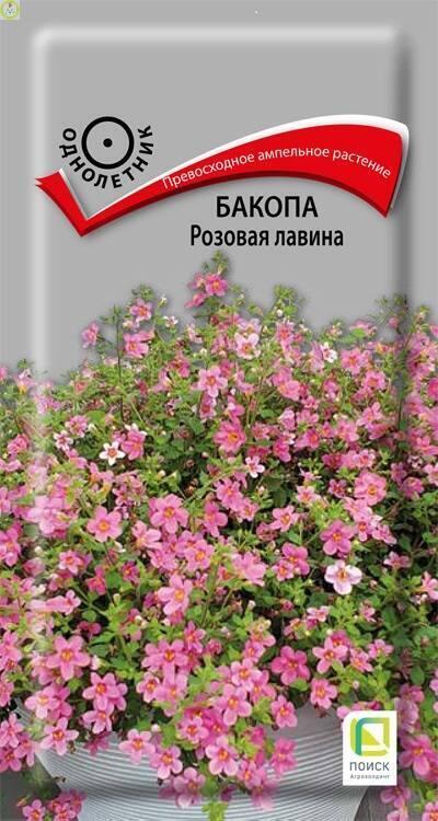 Купить оптом в Ботанике семена Бакопа Розовая лавина Поиск бренд Поиск