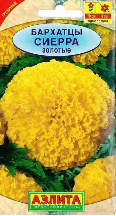 Купить оптом в Ботанике семена Бархатцы Сиерра золотые Аэл бренд Аэлита