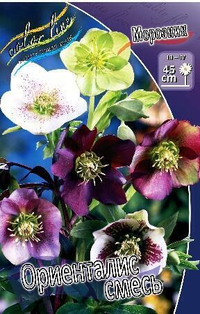 Купить оптом в Ботанике Морозник Ориенталс смесь 1 шт