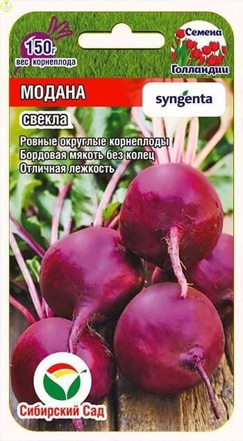 Купить оптом в Ботанике семена Свекла Модана СС бренд Сиб.сад