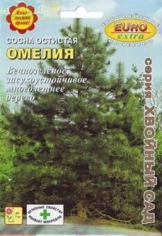 Купить оптом в Ботанике семена Сосна Омелия остистая БП Аэл бренд Аэлита