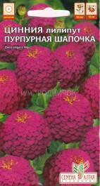 Купить оптом в Ботанике семена Цинния Лилипут Пурпурная шапочка СА бренд Семена Алтая
