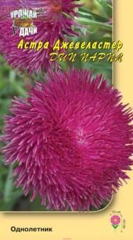 Купить оптом в Ботанике семена Астра Джевеластер Дип парпл УУ бренд Урожай Удачи