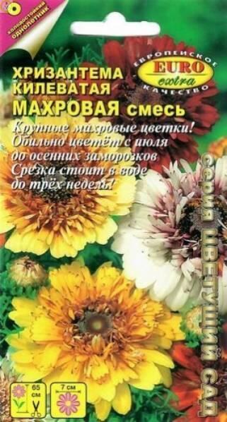 Купить оптом в Ботанике семена Хризантема Махровая смесь килеватая Аэл бренд Аэлита