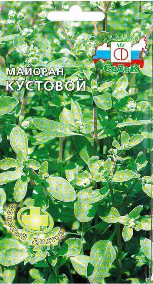 Купить оптом в Ботанике семена Майоран Кустовой Сед бренд СеДеК