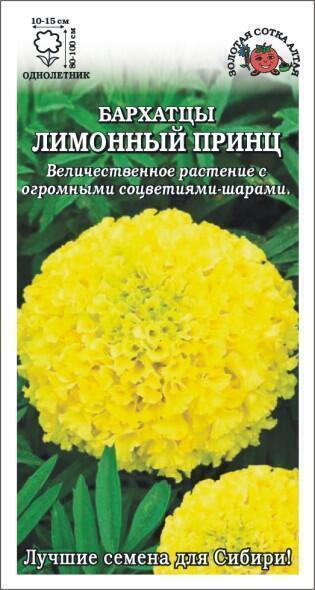 Купить оптом в Ботанике семена Бархатцы Лимонный Принц ЗС бренд Золотая сотка
