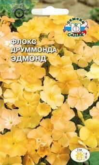 Купить оптом в Ботанике семена Флокс Эдмонд друммонда Сед бренд СеДеК