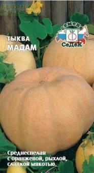 Купить оптом в Ботанике семена Тыква Мадам Сед бренд СеДеК