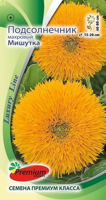 Купить оптом в Ботанике семена Подсолнечник декор. Мишутка ПС бренд Премиум Сидс