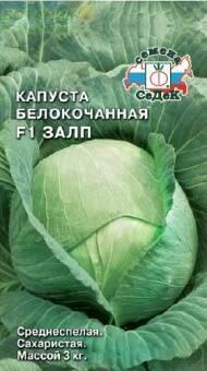 Купить оптом в Ботанике семена Капуста белокочанная Залп Сед бренд СеДеК