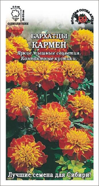 Купить оптом в Ботанике семена Бархатцы Кармен ЗС бренд Золотая сотка