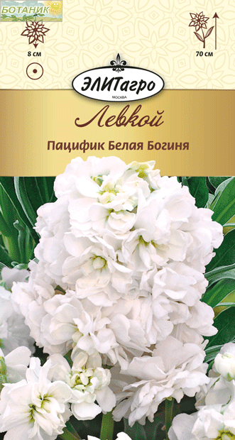 Купить оптом в Ботанике семена Левкой Белая богиня Пацифик Аэл бренд Аэлита