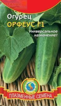 Купить оптом в Ботанике семена Огурец Орфеус F1 Плз бренд Плазмас