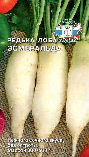 Купить оптом в Ботанике семена Редька Эсмеральда F1 Сед бренд СеДеК