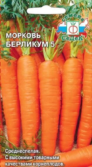 Купить оптом в Ботанике семена Морковь Берликум 5 Сед бренд СеДеК