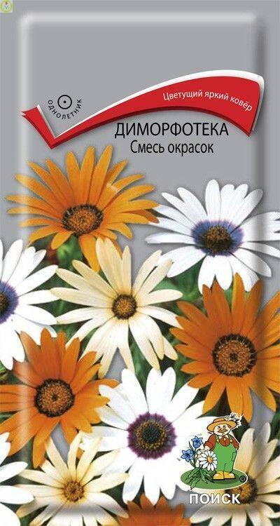 Купить оптом в Ботанике семена Диморфотека Смесь окрасок Поиск бренд Поиск