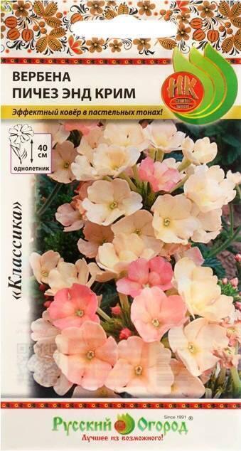 Купить оптом в Ботанике семена Вербена Пичез энд Крим НК бренд НК