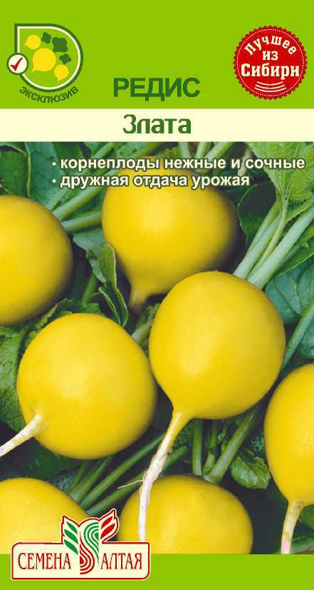 Купить оптом в Ботанике семена Редис Злата СА бренд Семена Алтая